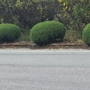 정천휴게소 이미지