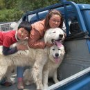 박경순농장 이미지