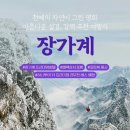 명화여행사