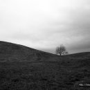 자명목장 이미지