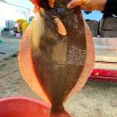 낙조민박 이미지