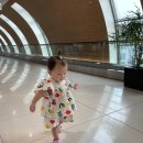 동복목장 이미지