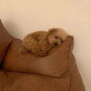 컴활따고 돌아옴~~~