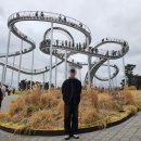 포항시북구11 | [포항 북구] 바다 뷰 명소 환호공원 스페이스 워크 직접 다녀온 후기