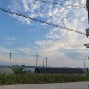 신기마을버스 정류장 이미지