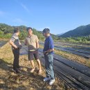 금수농장 이미지