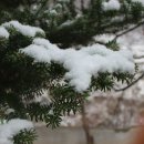 모짜르트펜션 이미지