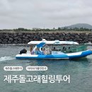 동일하모로 | 제주투어 추천 제주돌고래힐링투어 아이와 다녀온 후기