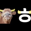 상업용 94 이미지