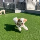 옐레드 송파헬리오시티점 이미지