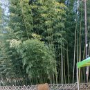 광장민속 이미지