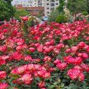 여월초등학교+세상의중심가온어린이집 이미지