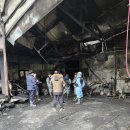 장미의거리10 이미지