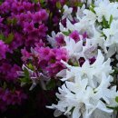 결성보건지소 이미지