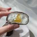 하루퐁당 | 봄날엔 초코퐁당 요거꿀떡 후기 (내돈내산)