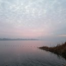 평택호길 이미지