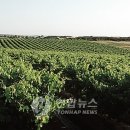 김기성 농장 이미지