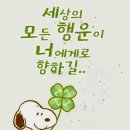 수헤어(秀) 이미지