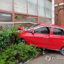 광주유치원 이미지