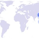 성림전자