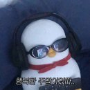 오프버거 이미지