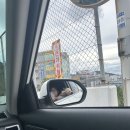 25시노래연습장 이미지