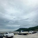 팔영대교수산물직판장 네이버블로그