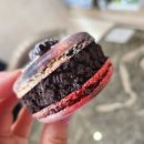 마시찌롱 이미지