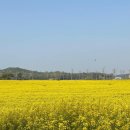 구로-구로-구로-1673 이미지