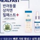 페테리안동물병원 이미지