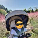 꽃순 | [내돈내산]에이블코지샤인구매찐후기 리퍼브 구매후기