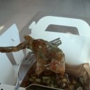 49 | 🍗마요피뇨와 🐞운명전쟁49 후기