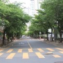 수성주공3차아파트 이미지