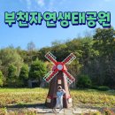 튼튼 유아숲체험원 이미지