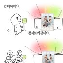 선경쌈밥 | 제주도 가기 3일 전