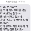 루루테라피