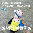 잠실6동주민센터 | 성내천 물놀이장 후기 | 아기랑 갈만한 송파구 여름 피서지☀️