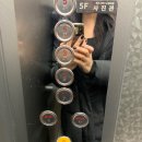 펄즈데뷰티 | 낙성대 속눈썹 연장 내돈내산 펄즈데뷰티 후기