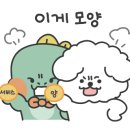 티플러스테니스