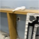 클리닝하우스