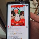 아지양이 펫샵 | 이용 후기 이벤트 요요쉬패드 증정 인증