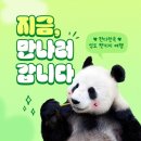 팬키