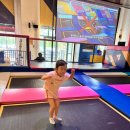 무궁화 슈퍼 이미지