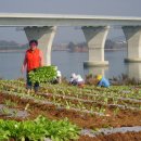늘푸른농장 이미지