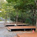 캠핑소리251 이미지