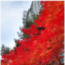 준 행정사사무소 이미지