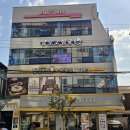 경기도동물위생시험소 | 수원 고양이카페 냥보고 심쿵 아이랑 가기 딱 좋은 실내 힐링 스팟 후기