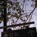 송강길 이미지
