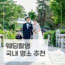 마포관광농원 | 웨딩촬영 국내 명소 추천(태신목장/고창 학원농장/절물자연휴양림/메타세콰이아길) 로이엘포토그라피