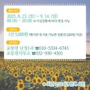 교동면 난정저수지 이미지